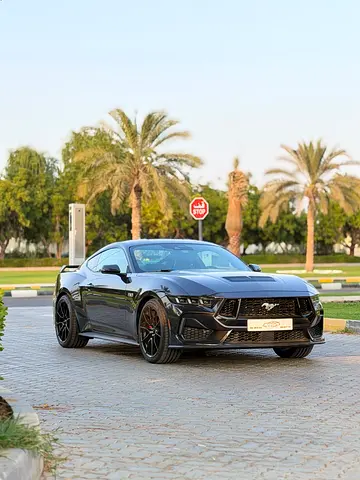 2024 FORD MUSTANG 缩略图 19