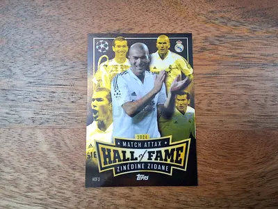 Hall of fame Zinedine Zidane