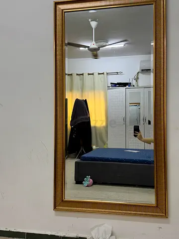 Home center Large Ornate Full-Length Wall Mirror with Gold Frame