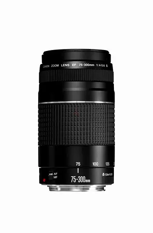 Canon Ef 75-300mm F/4-5.6 Iii Telephoto Zoom Lens