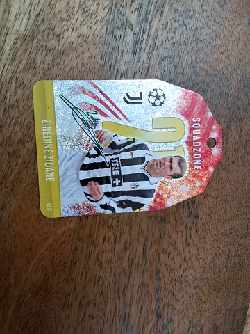 Sighed Zinedine Zidane