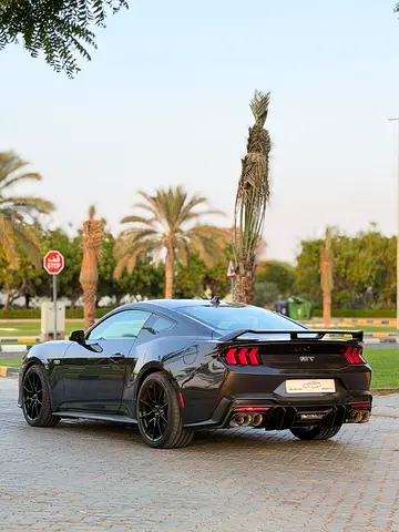 2024 FORD MUSTANG 照片 8