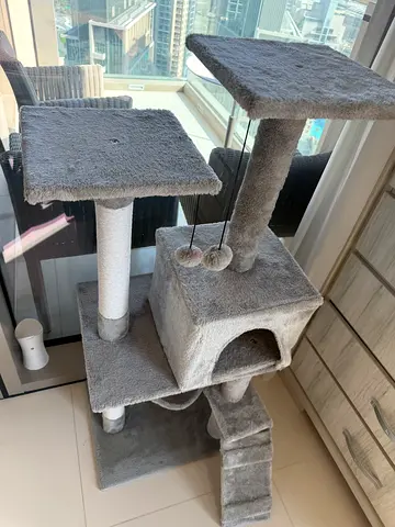 Cat stand