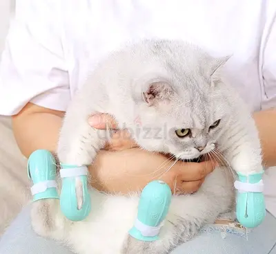 Cat Paw Protection. Brand New. Still in Original Packaging.