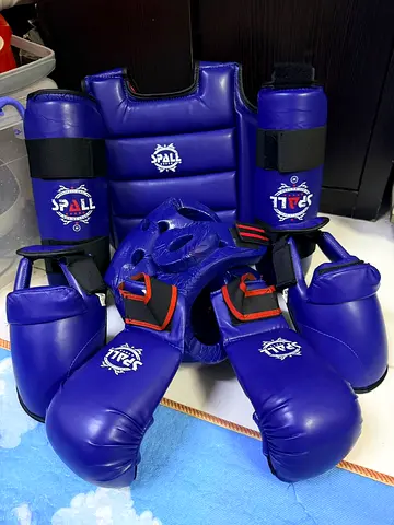 Complete kids martial arts sparring gear set - gloves, shin guards, chest & headgear (blue)