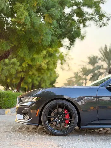 2024 FORD MUSTANG 照片 6