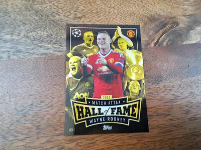 Hall of fame Wayne Rooney