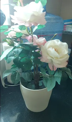 Artificial potted rose plant in cream ceramic pot - like new