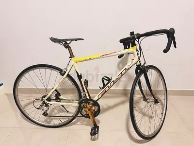 Fuji Road Bike