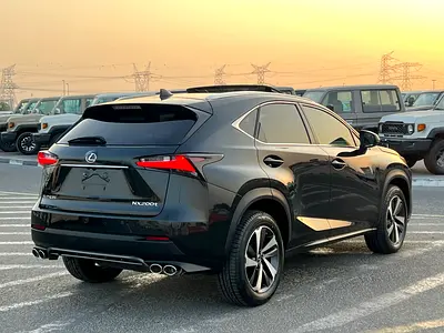 2020 Lexus NX-SERIES 照片 6