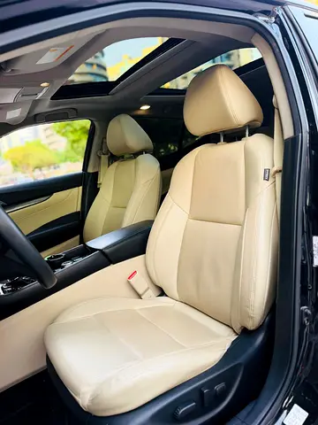 2020 Nissan MAXIMA 照片 10
