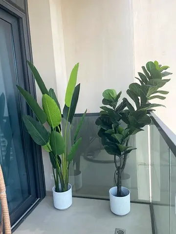 Outdoor/ indoor plastic plants