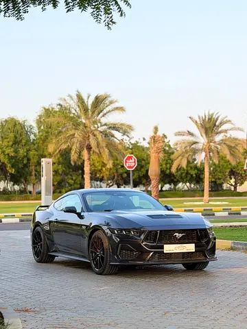 2024 FORD MUSTANG 照片 2