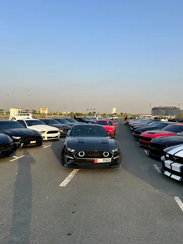 2018 FORD MUSTANG 照片 9