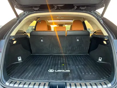 2020 Lexus NX-SERIES — миниатюра 19