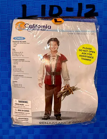 Child's Renaissance Boy Costume - (Size L10-12)-Used once!