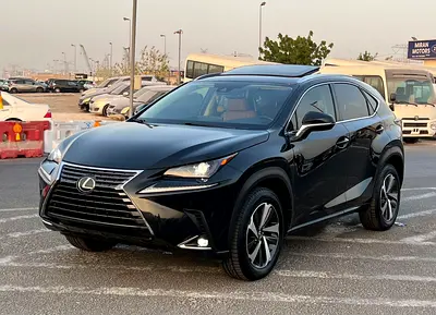 2020 Lexus NX-SERIES 照片 3