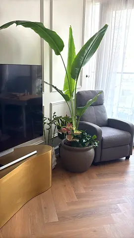 Manual recliner chair - Pan home