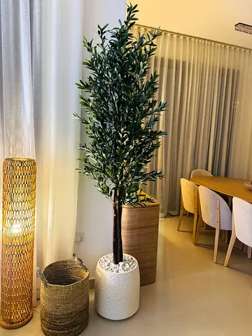 Extra large Olive 🫒 plant artificial tree