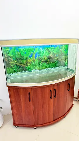 Aquarium with the table
