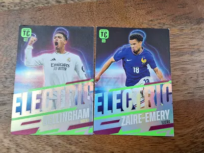 Electric bundle