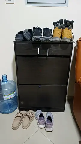 Compact 2-Drawer Shoe Cabinet in Dark Wood