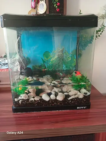 Fish Aquarium with all equipments for Sale – 110