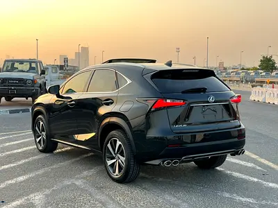 2020 Lexus NX-SERIES 照片 4