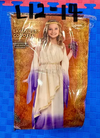 Lavender Goddess Girls Costume 12-14 - Used once!