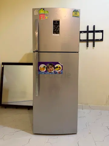 Electrolux Silver Double-Door Refrigerator - Good Working Condition