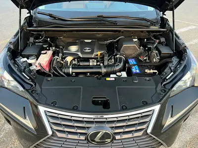 2020 Lexus NX-SERIES — миниатюра 18