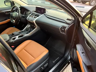 2020 Lexus NX-SERIES 照片 9