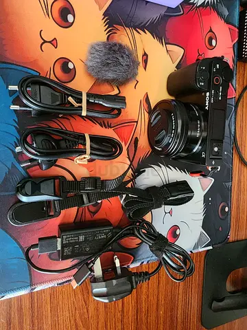 sony ZVE10