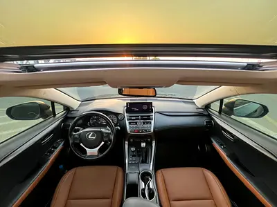 2020 Lexus NX-SERIES 照片 10