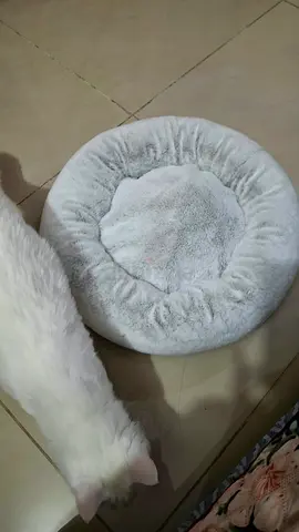 Soft round plush pet bed - light grey, gently used