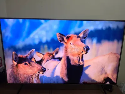 55-inch LED 4K Smart TV - Excellent Picture