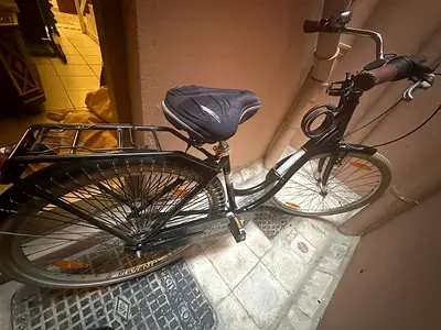 Royal Dutch Black 360 Bicycle
