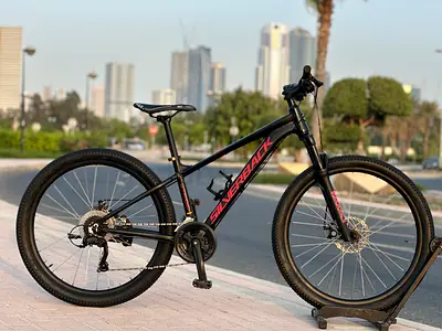 Silverback mtb/27.5