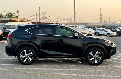2020 Lexus NX-SERIES 照片 8