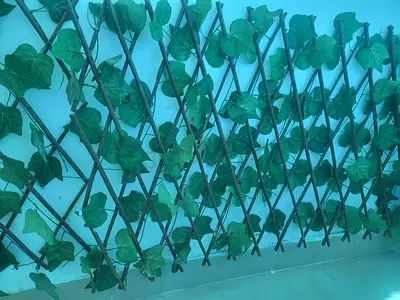 Artificial plant wall