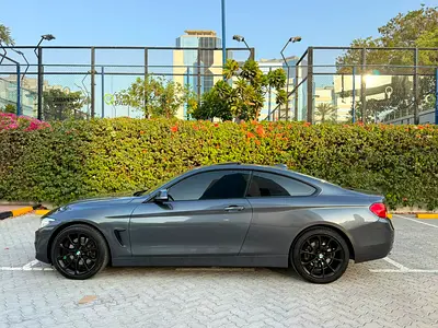 2014 BMW 4-SERIES 照片 2