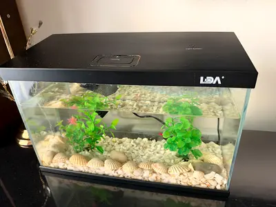 Fish aquarium for sale