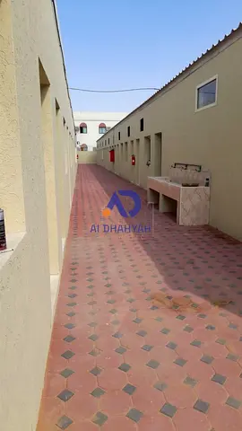الصجعه القديمة .