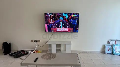 TV 55” Screen issues (half part) RH