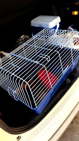 Rabbit/rodent cage with accessories - light used, good condition