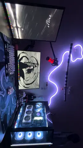 two monitor screens (240hz + 60hz) + dual monitor arm