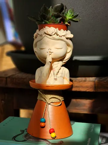 Echeveria Black Prince Succulent (real plant) in doll planter and earthen stand