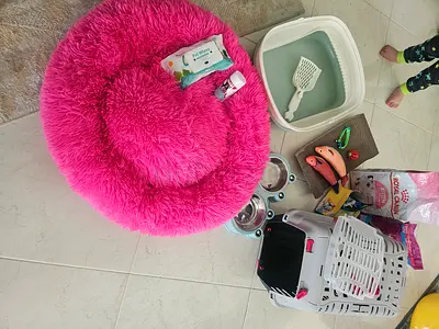 Selling a complete set of cat accessories