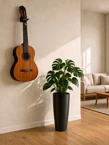 Mature Dutch Monstera Deliciosa | Large Tropical Leaves | Elegant Matte Black Pot