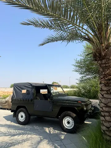 صورة 10 لـ 1992 Mercedes-BENZ G-CLASS